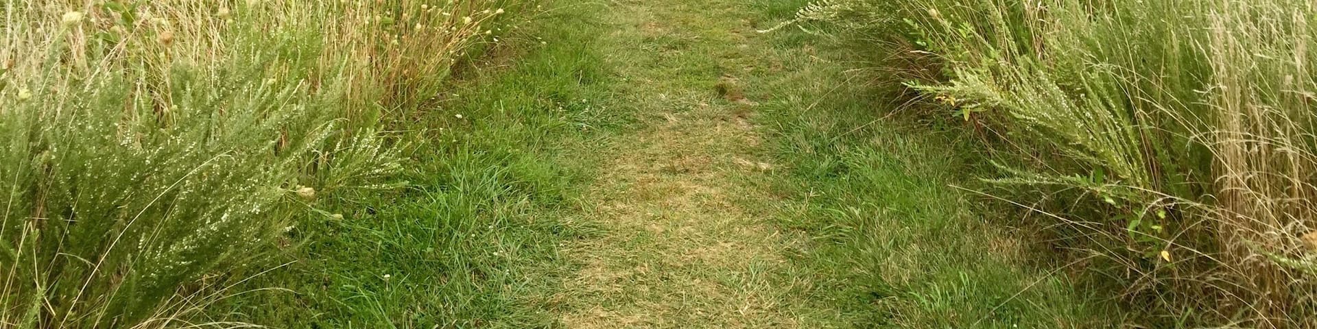 Hiking Sky Meadows State Park...