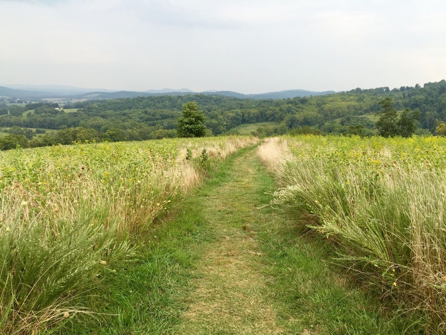 Hiking Sky Meadows State Park...