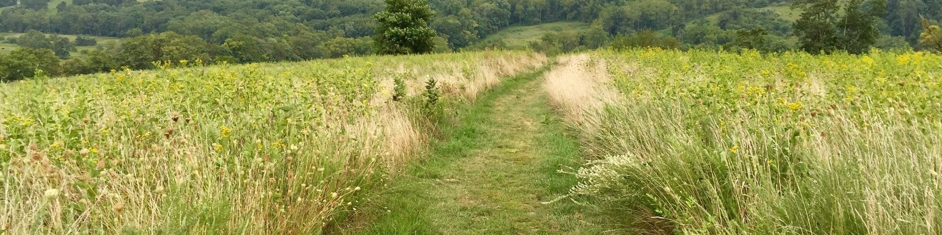 Hiking Sky Meadows State Park...