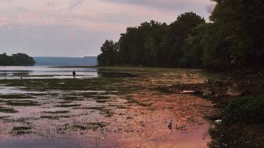 Beautiful quiet spot to stay in cabins and fish!