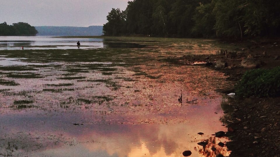 A sunset over a wetland with reflections on the water, surrounded by trees and a distant view of land.