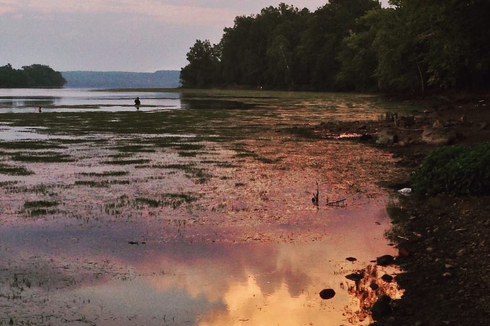 A sunset over a wetland with reflections on the water, surrounded by trees and a distant view of land.