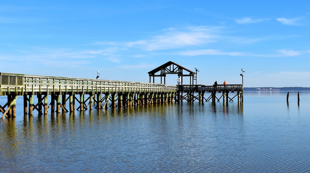 李斯瓦尼亞州立公園