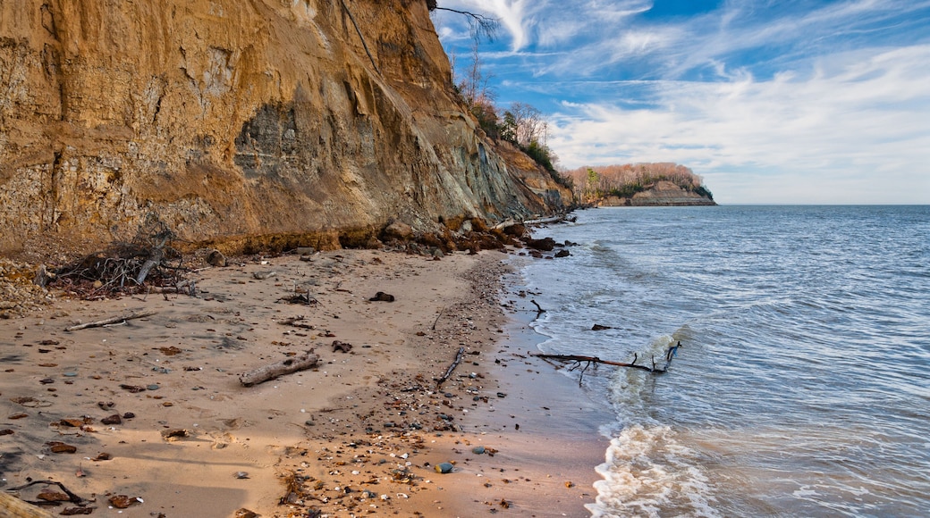 Calvert Cliffs State Park