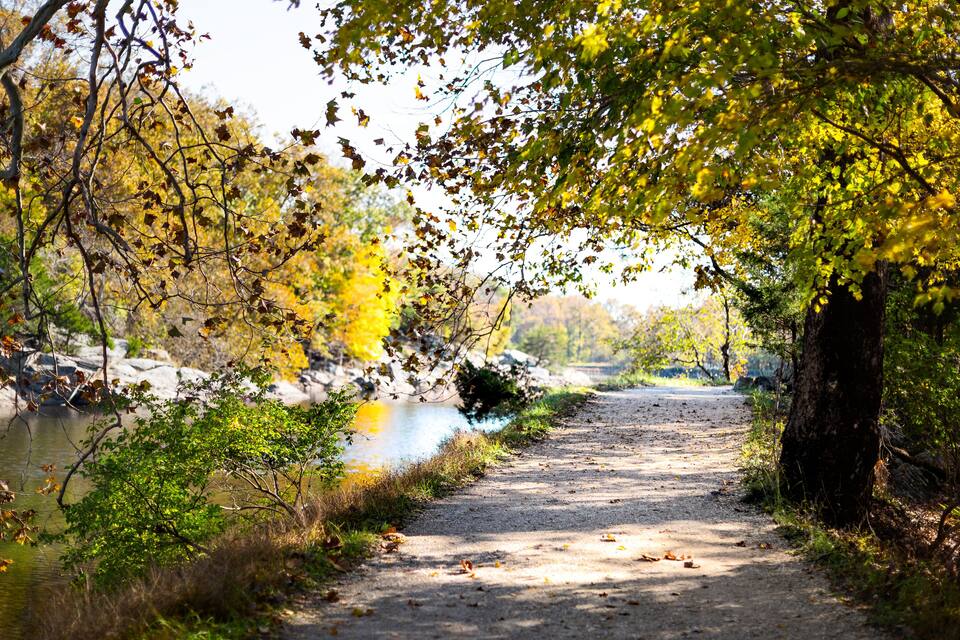 Un sendero de tierra junto a un río con follaje otoñal.
