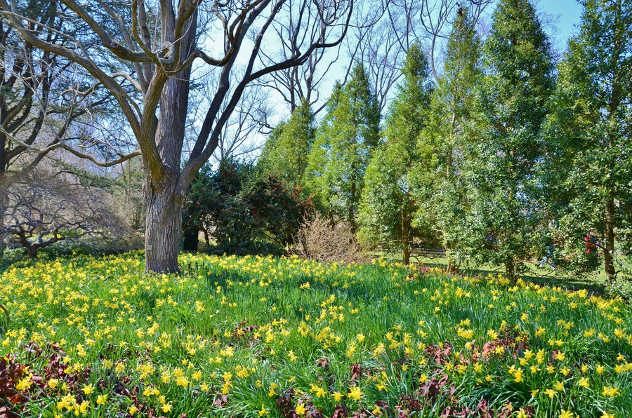 Brookside Gardens Landscape in Maryland USA