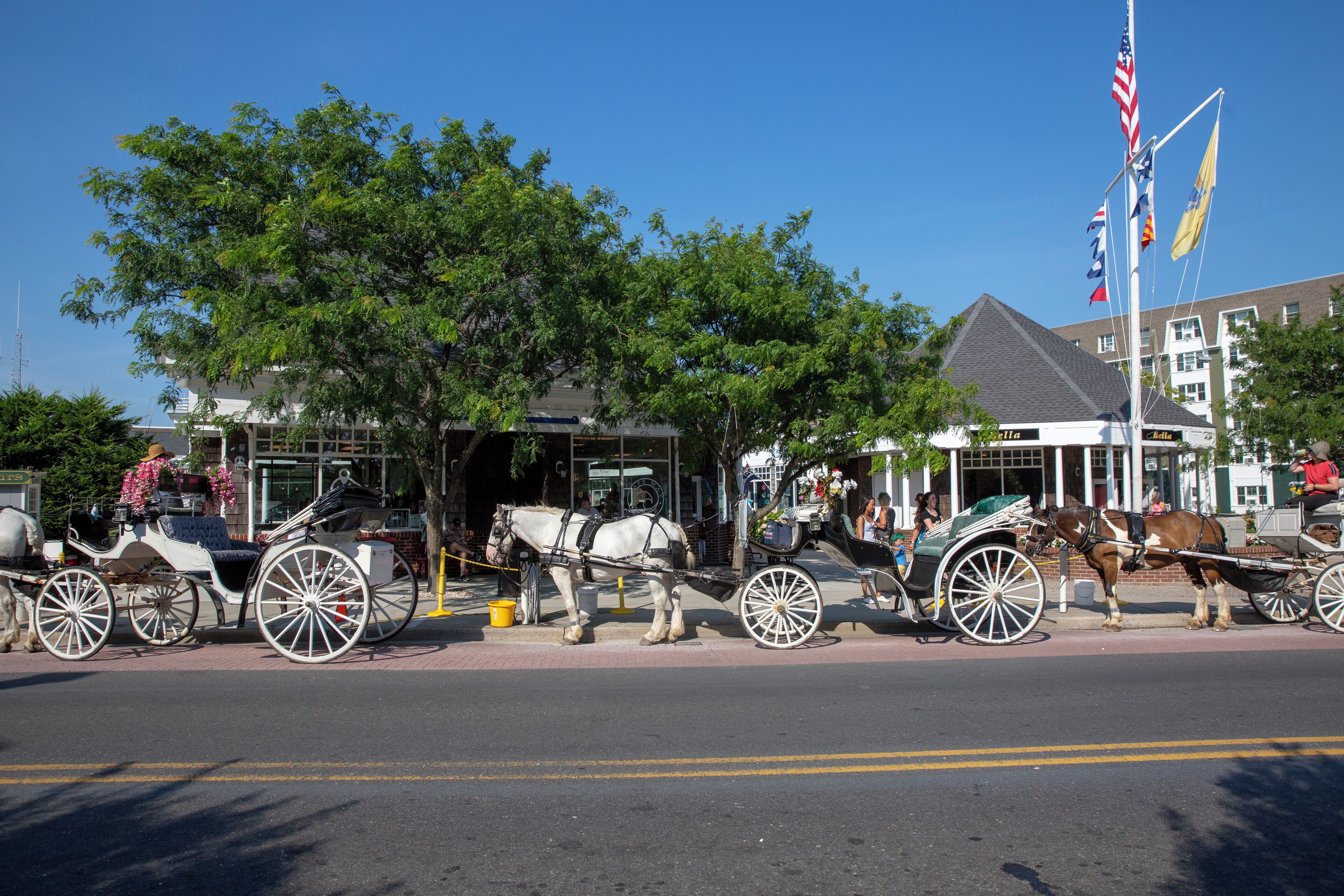 CapeMay_CarriageCompany_553248621532662555_08