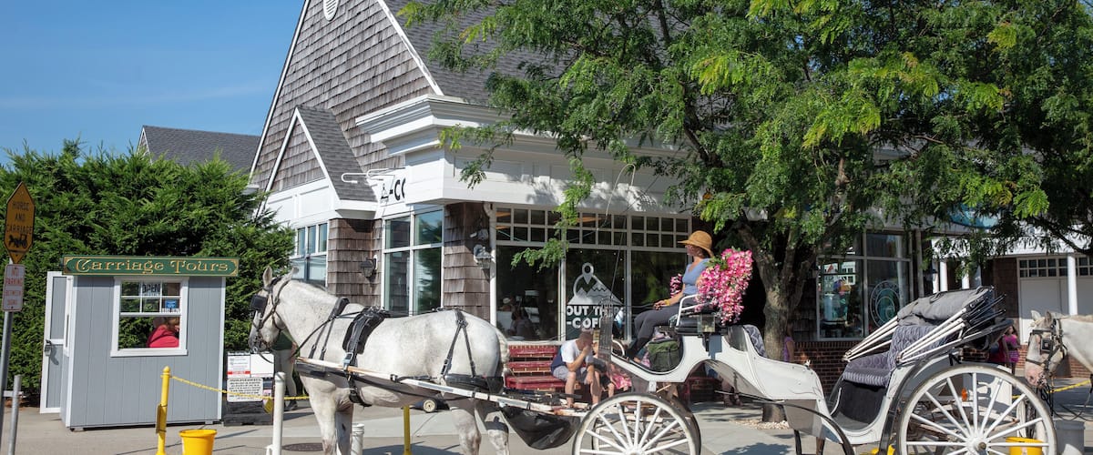 CapeMay_CarriageCompany_553248621532662555_09