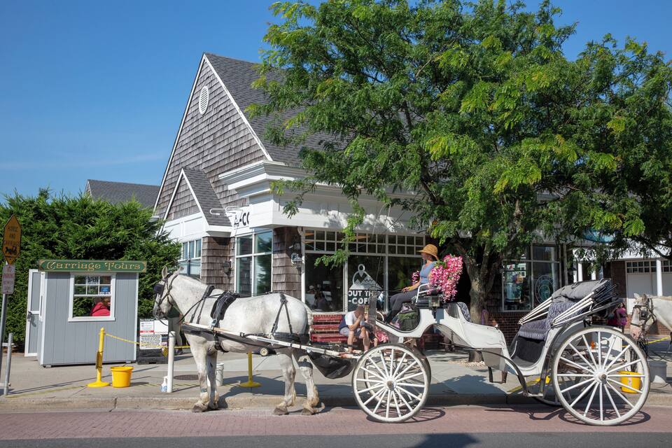 Un'antica carrozza trainata da cavalli parcheggiata di fronte a un edificio con un cartello che recita 'Carriage Tours'.