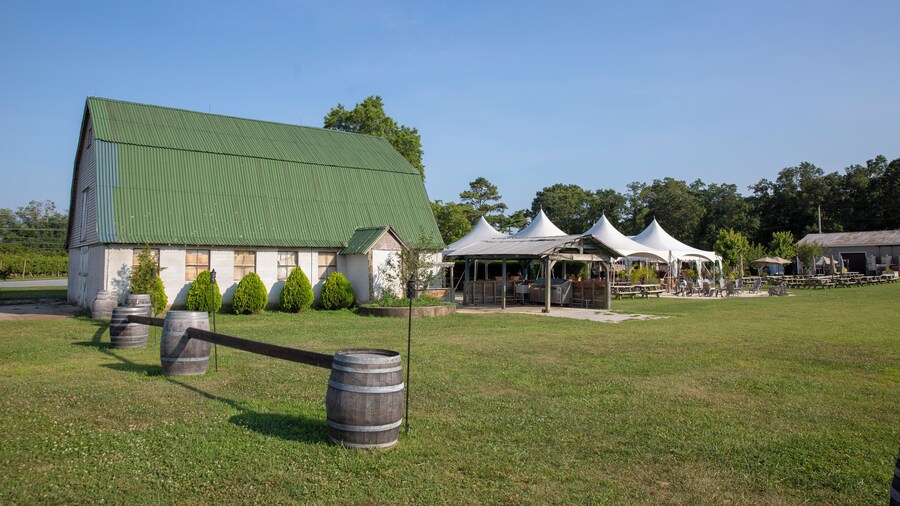 CapeMay_HawkHavenVineyardAndWinery_553248621532662562_04