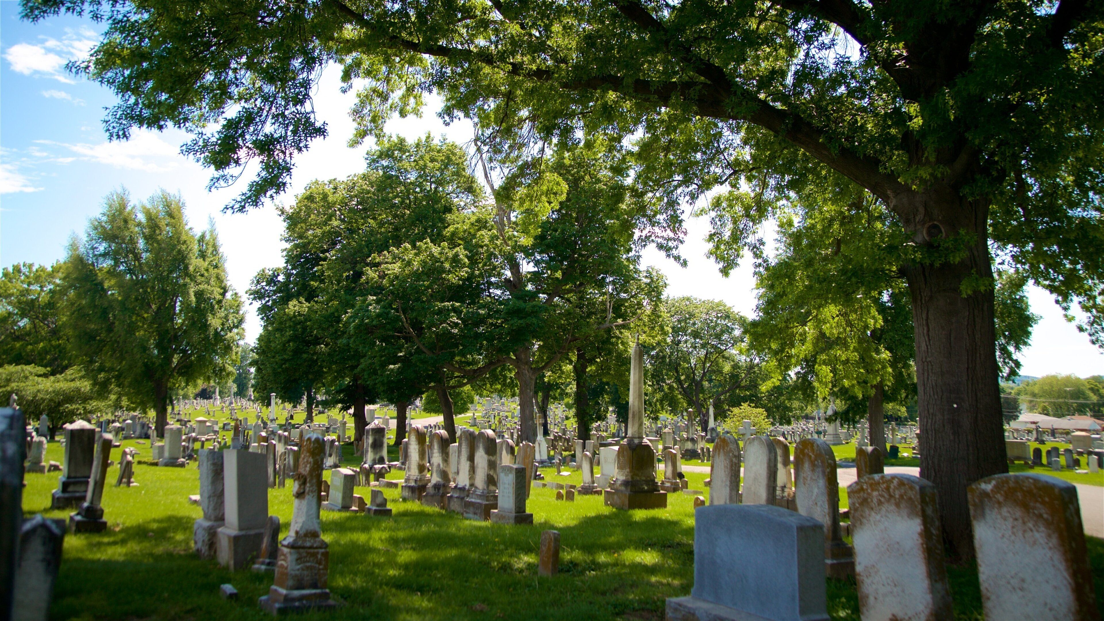 Mount Olivet Cemetery