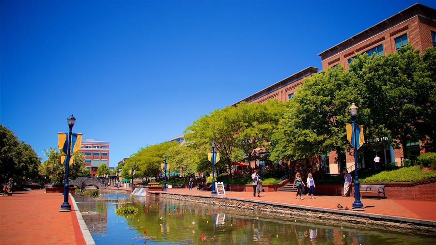 Carrol Creek Linear Park