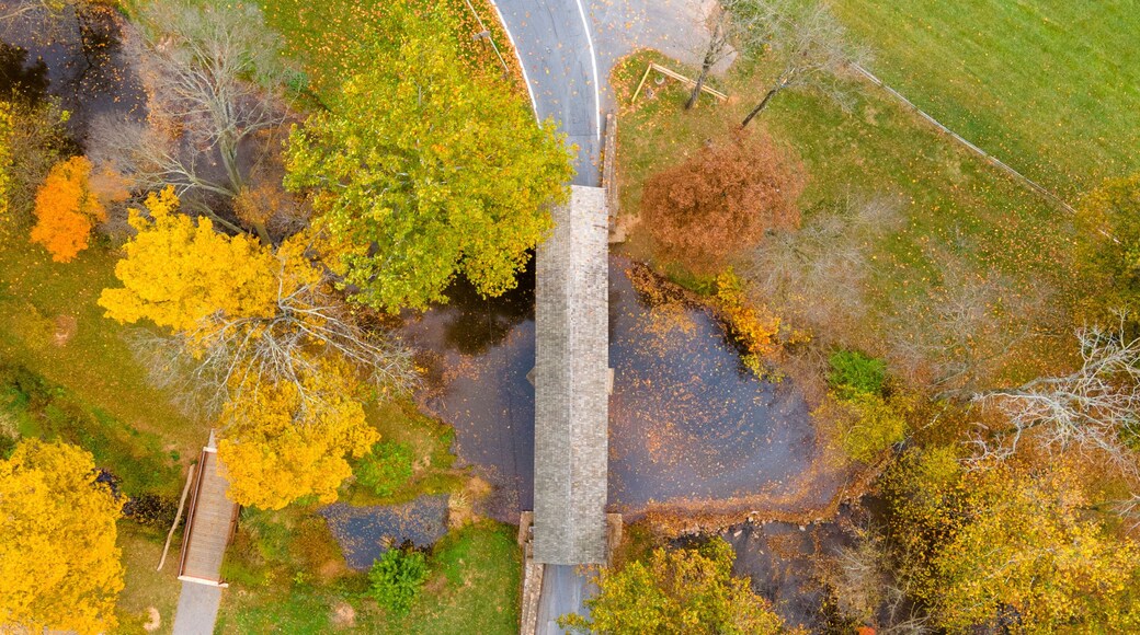Loy's Station Covered Bridge
