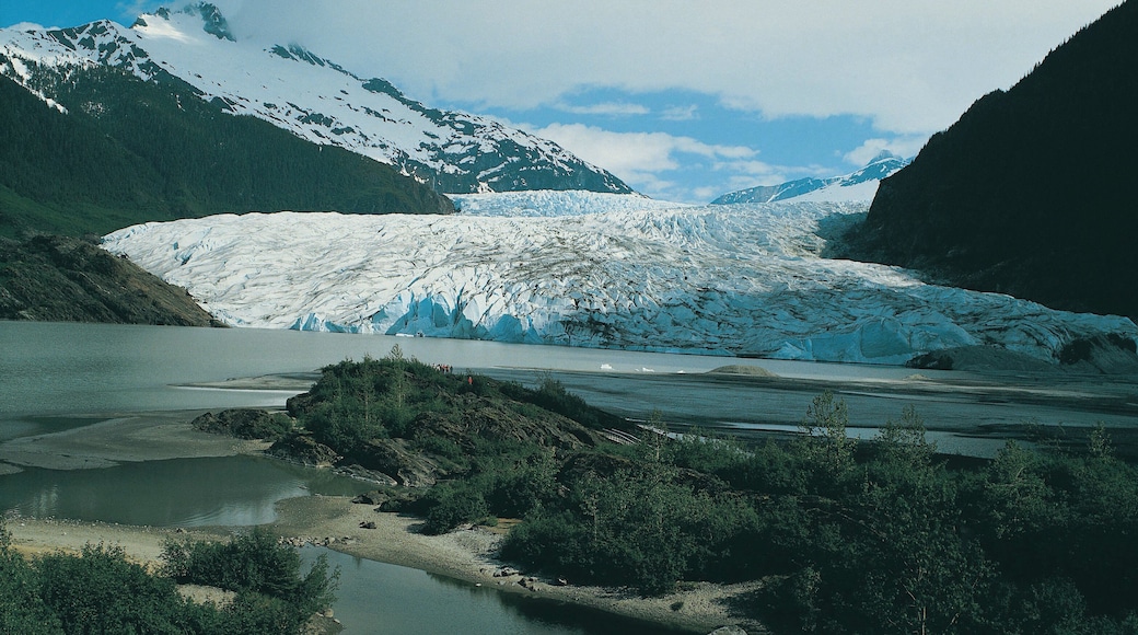 Mendenhall Glacier, Alaska, USA