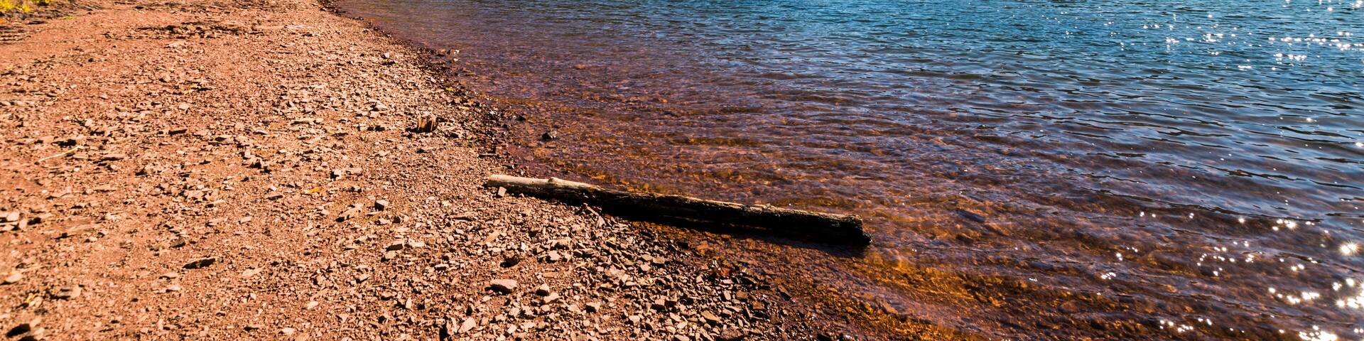 Lush Vegetation Around Raystown Lake, in Pennsylvania During Summer; Shutterstock ID 571110853; Purchase Order: -