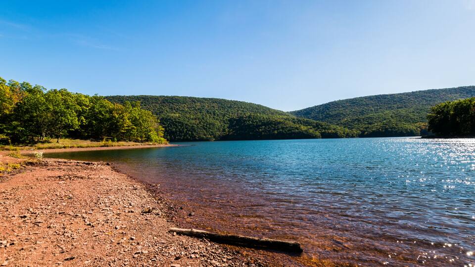 Lush Vegetation Around Raystown Lake, in Pennsylvania During Summer; Shutterstock ID 571110853; Purchase Order: -