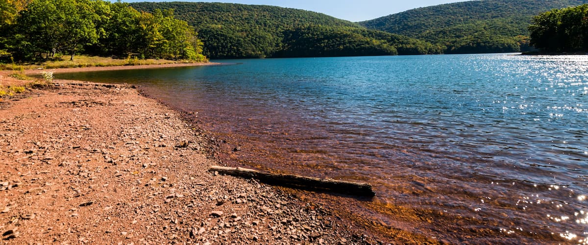 Lush Vegetation Around Raystown Lake, in Pennsylvania During Summer; Shutterstock ID 571110853; Purchase Order: -