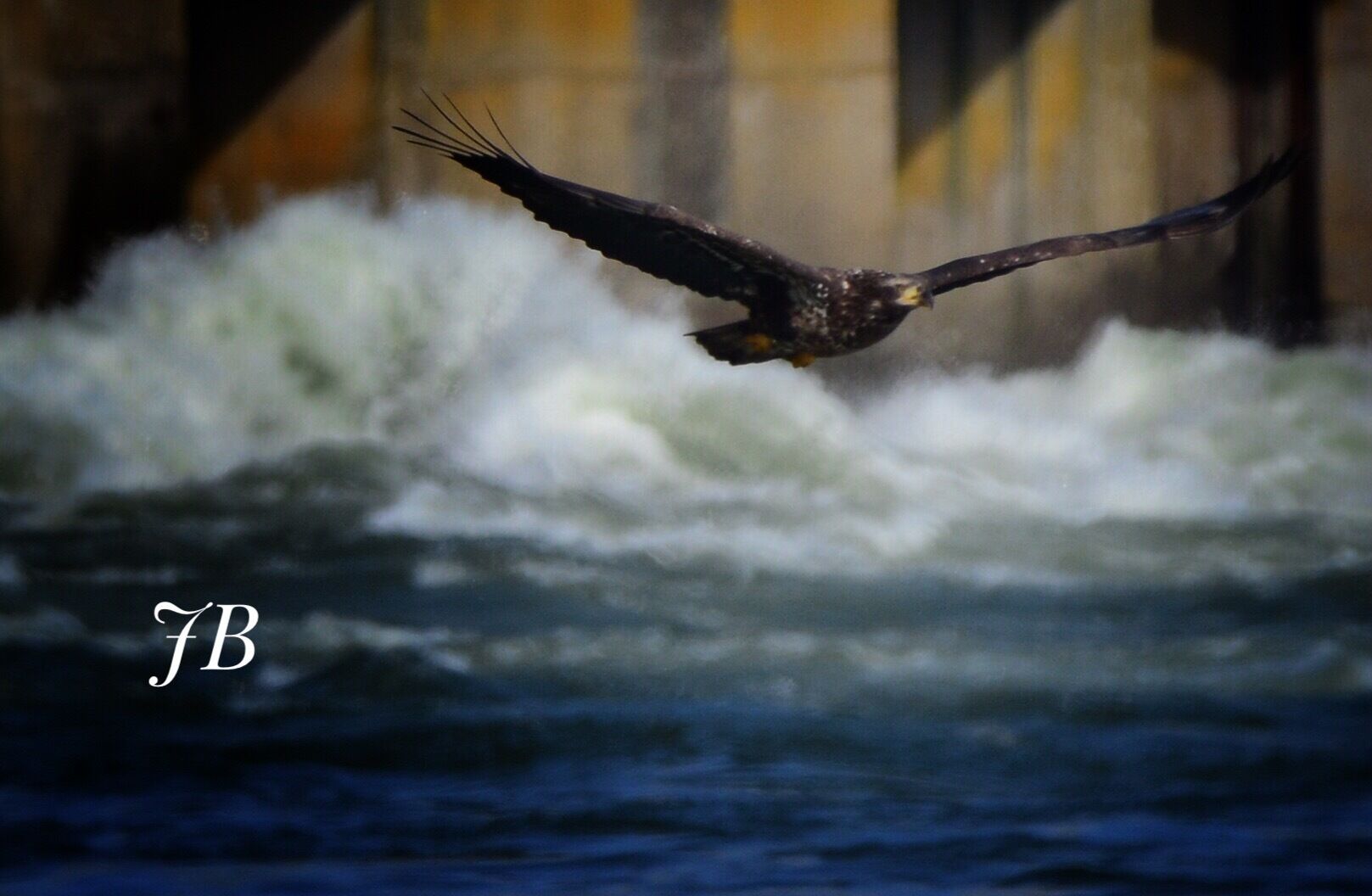 This was taken at Conowingo Dam, Maryland.