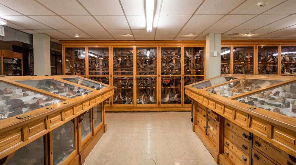North Museum of Natural History showing interior views