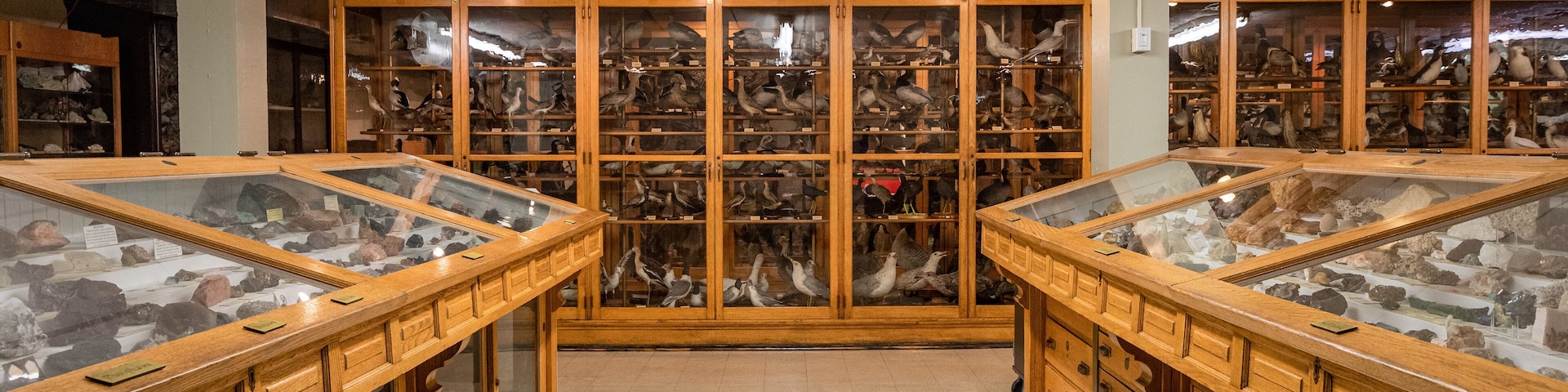 North Museum of Natural History showing interior views
