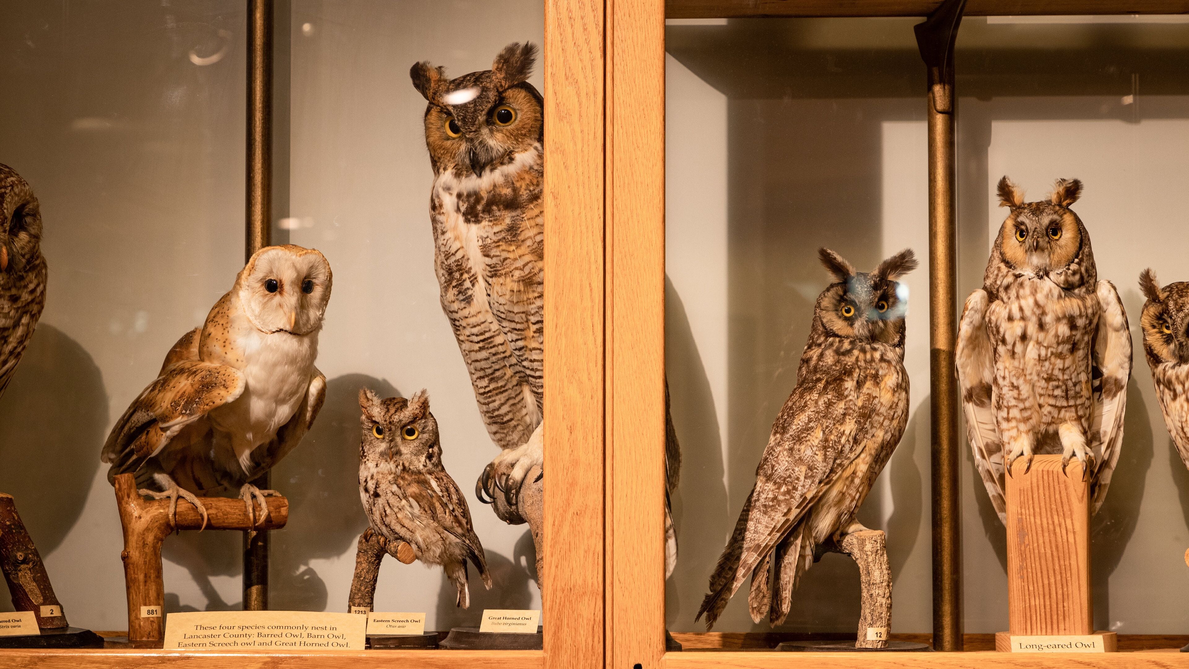 North Museum of Natural History showing interior views