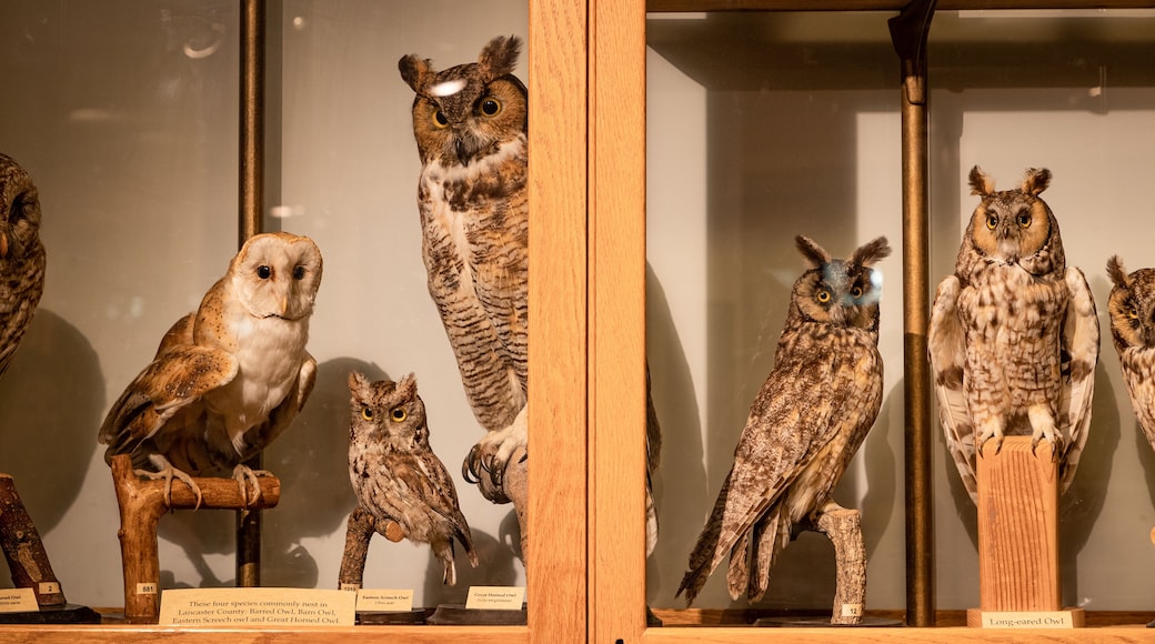 North Museum of Natural History showing interior views