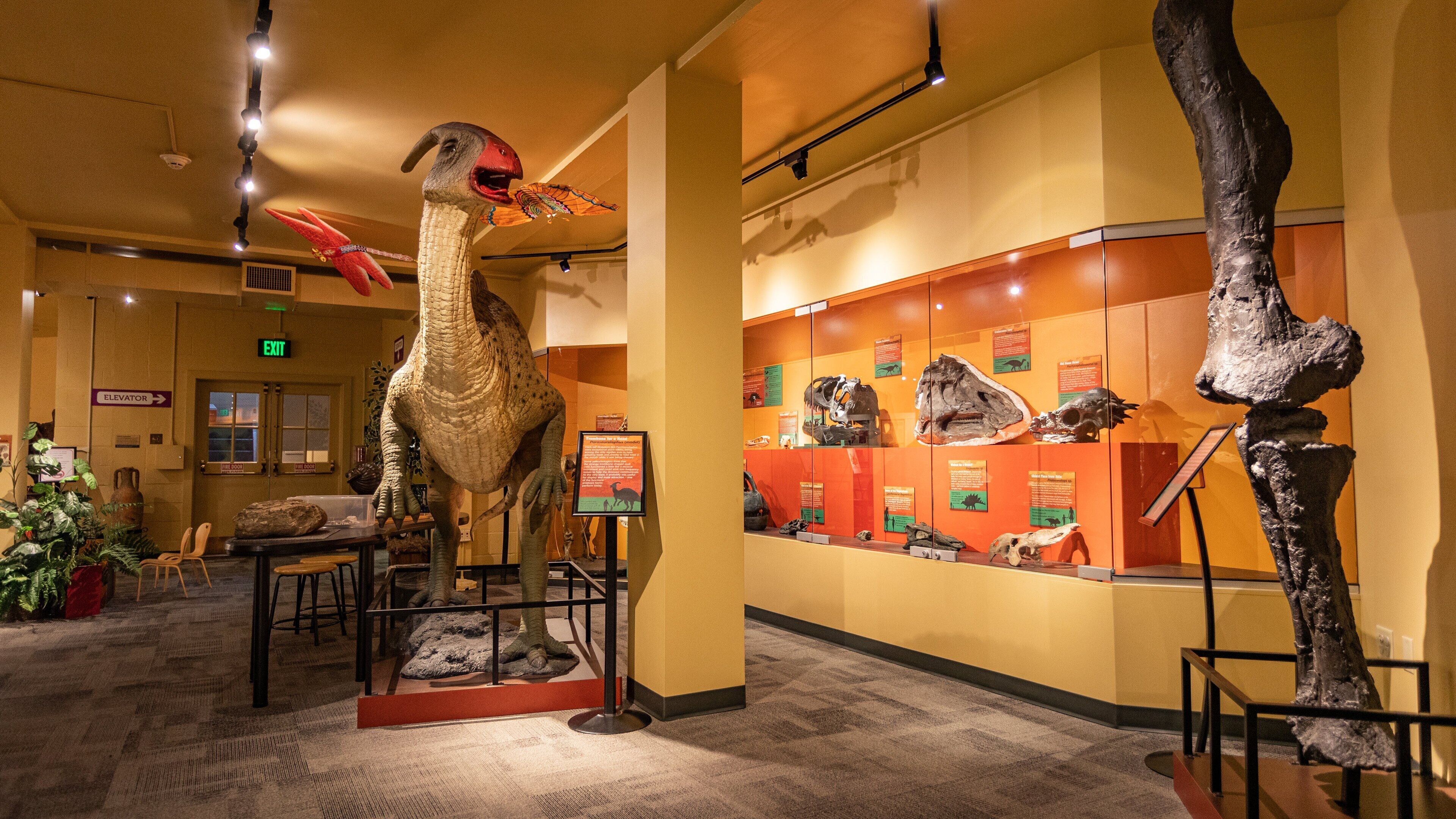 North Museum of Natural History which includes interior views