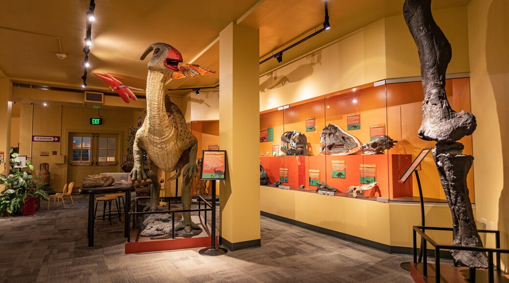 North Museum of Natural History which includes interior views