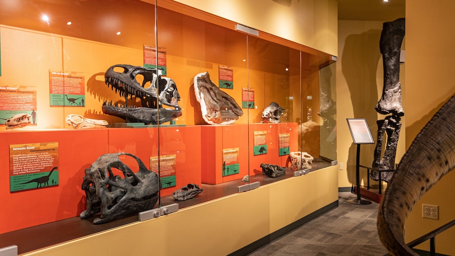 North Museum of Natural History showing heritage elements and interior views