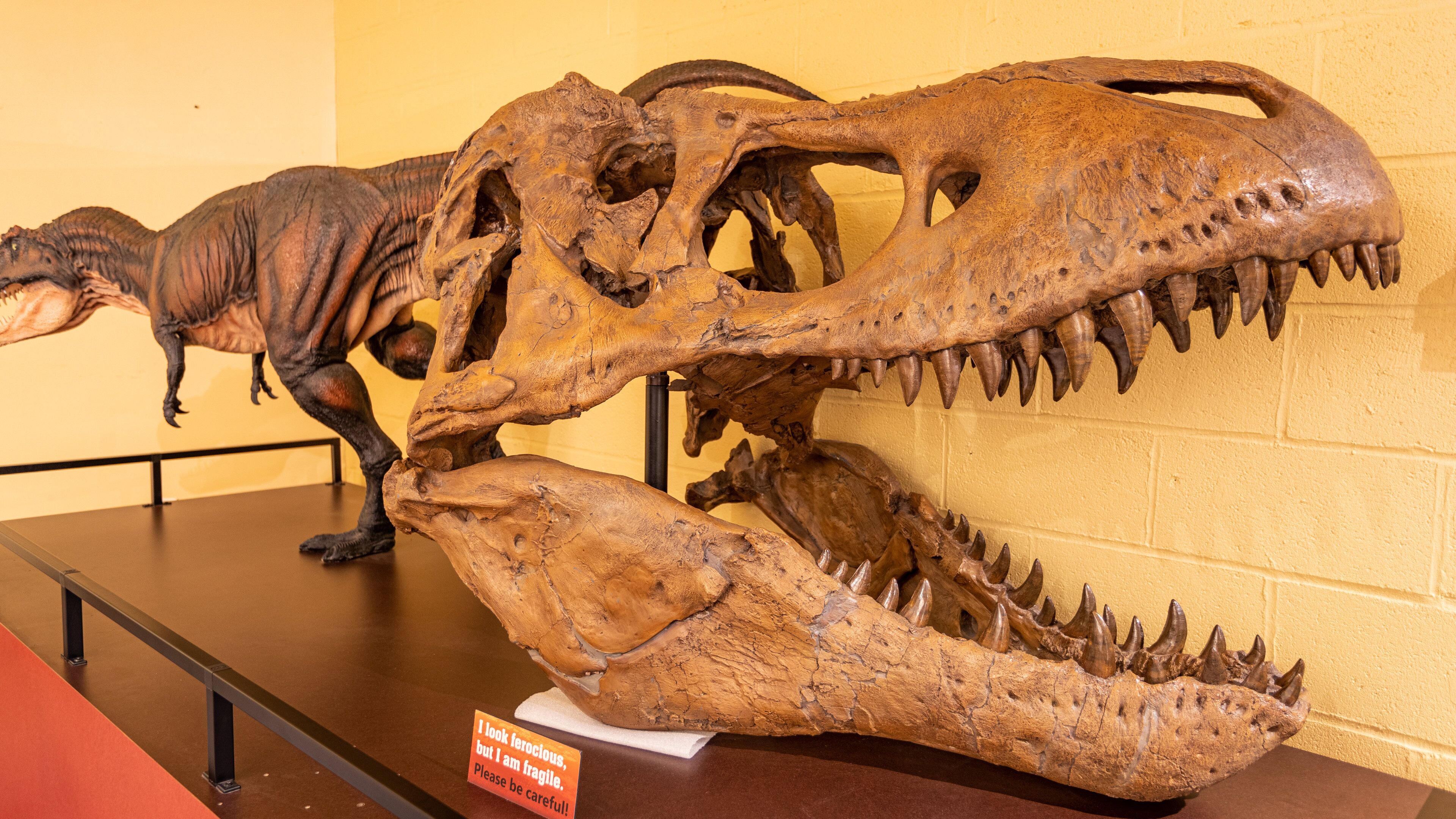 North Museum of Natural History which includes heritage elements