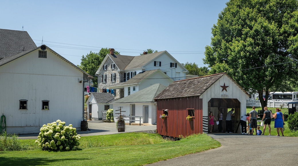 The Amish Village showing a small town or village and street scenes