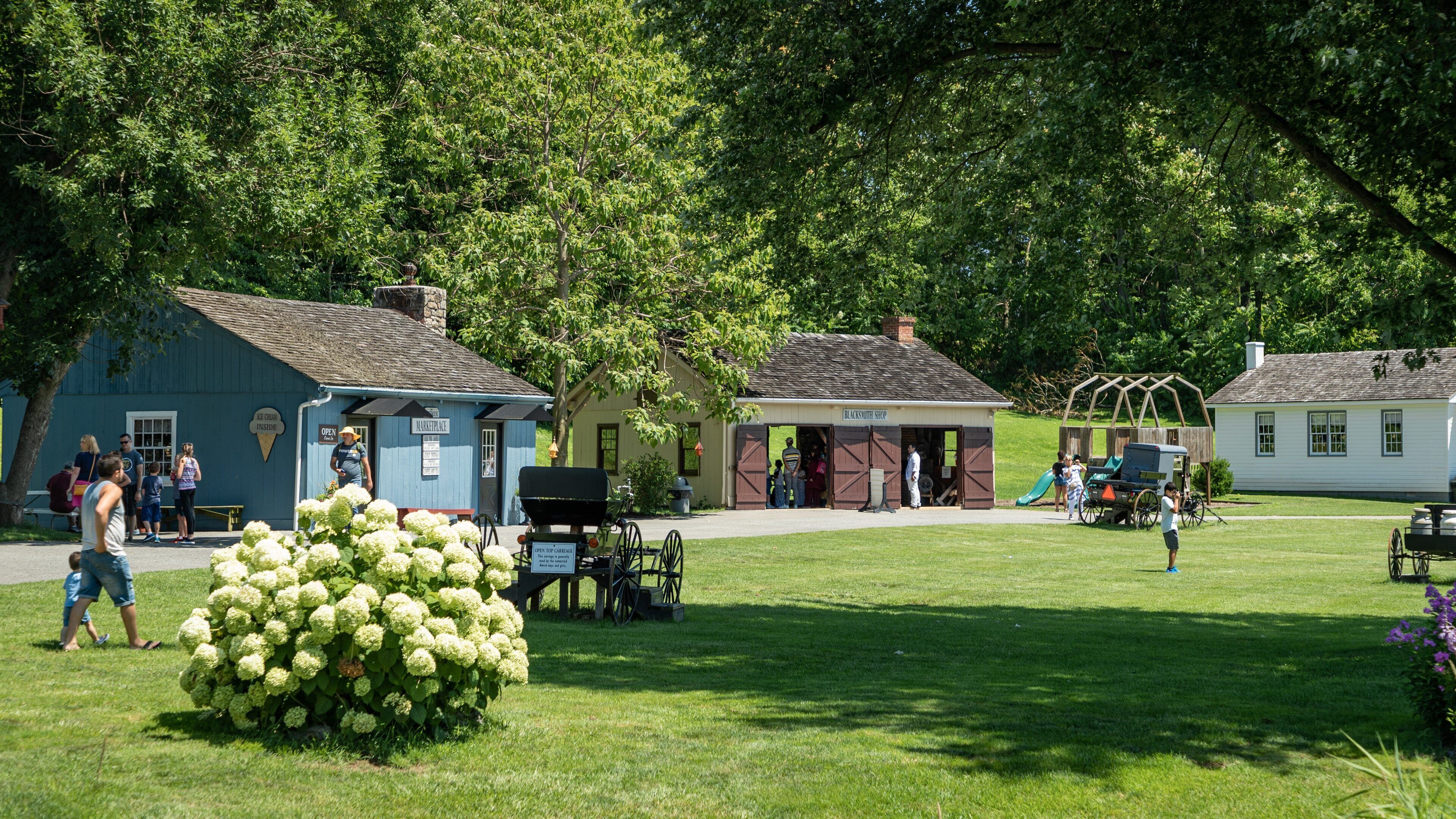 The Amish Village which includes a small town or village