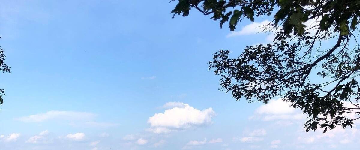 A lush green landscape with a clear sky and distant hills.