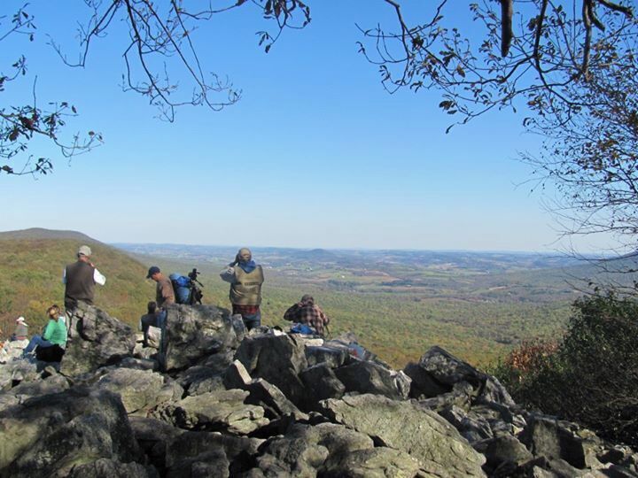 Hawk Mountain is one of my favorite locations near my parents' home. If you enjoy walking, hiking, beautiful views, birds, and maybe a little scrambling over rocks, Hawk Mountain is a must-see.

I have tried to visit Hawk Mountain every fall--which is the migration period for a lot of hawks and eagles--so that I can climb to the top in the not-too-warm weather and overlook the region. It's absolutely beautiful. 

Be sure to bring snacks and water! You are literally in the sticks when you go on these hikes and it's not easy to just "run back to the car."