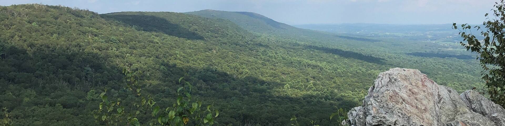 Hot and Hazy
#adventure