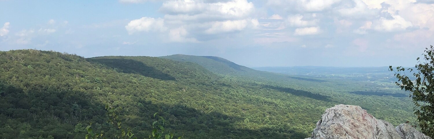 Hot and Hazy
#adventure