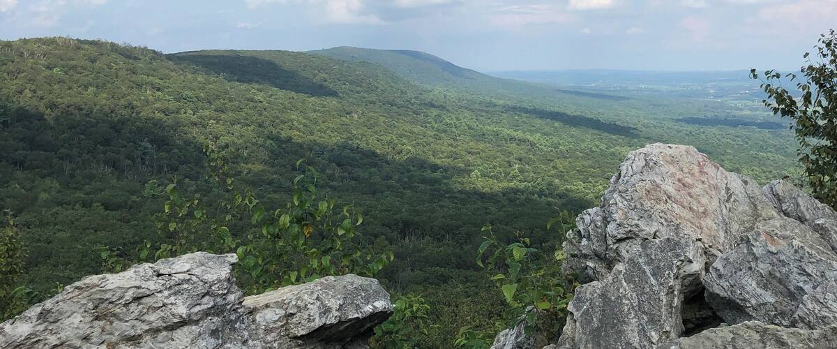 A mountainous landscape with rocky outcrops and dense green forest.