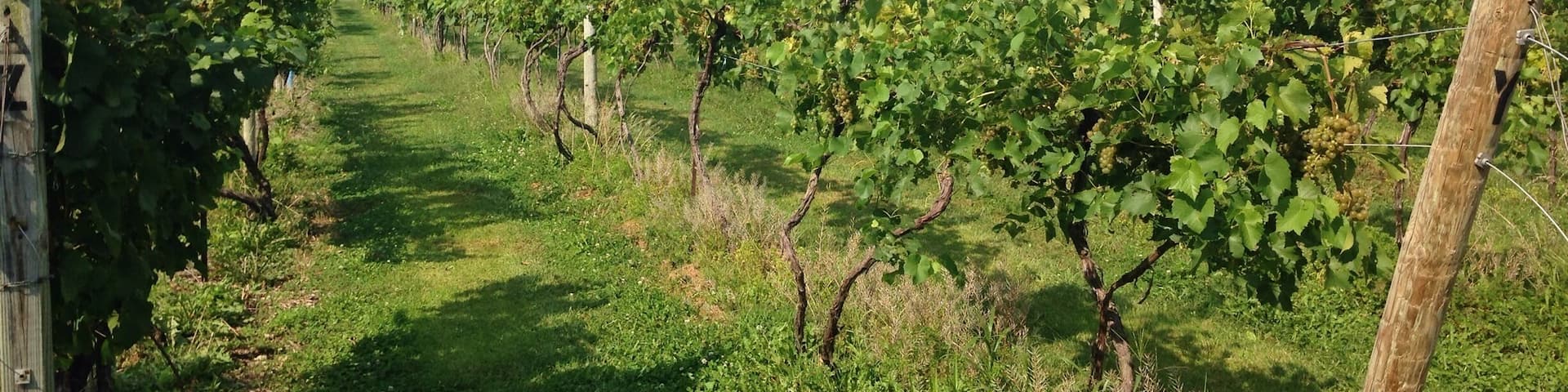 Excellent wine tasting spot with gorgeous scenery.