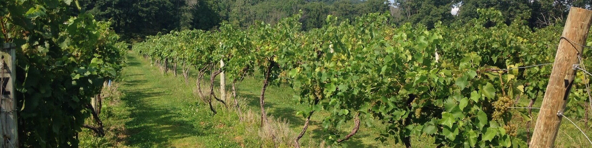 Excellent wine tasting spot with gorgeous scenery.
