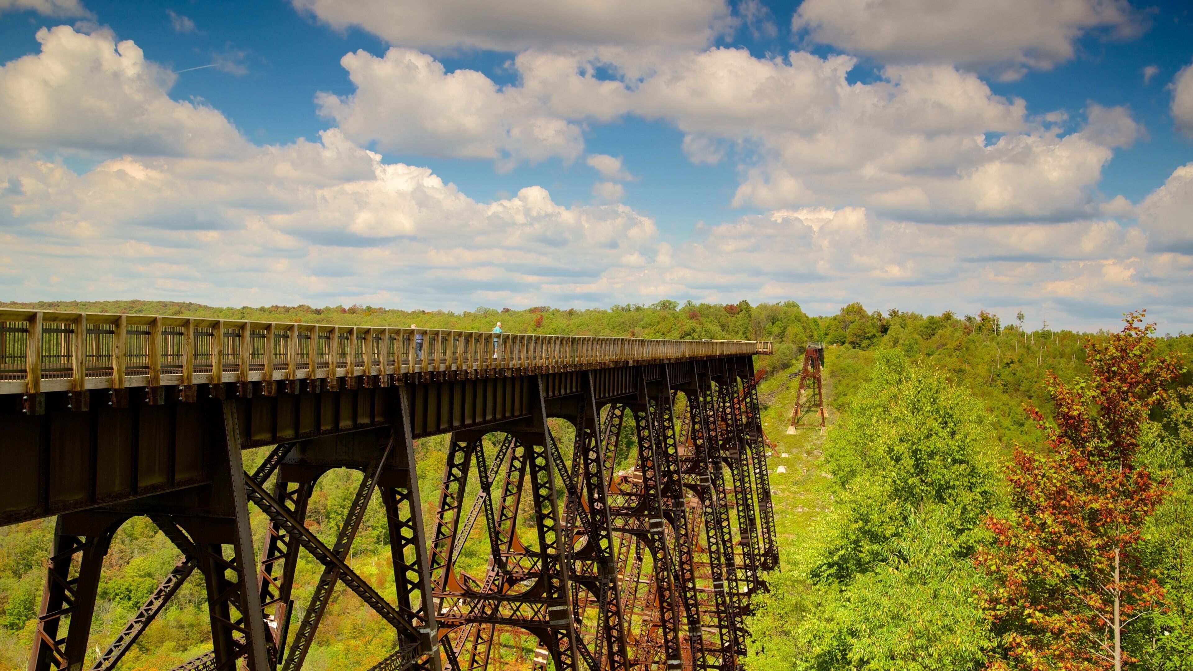 Kinzua Bridge State Park showing views and forests