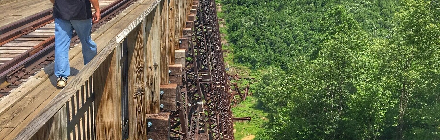 A really cool optical illusion taken by mistake making it look like this person is walking on the edge of the bridge. Taken at Kinzua Skywalk.