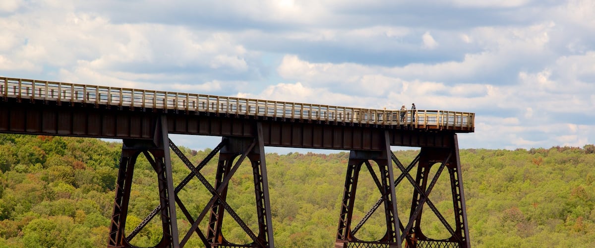 Northwest Pennsylvania featuring forests, a bridge and views