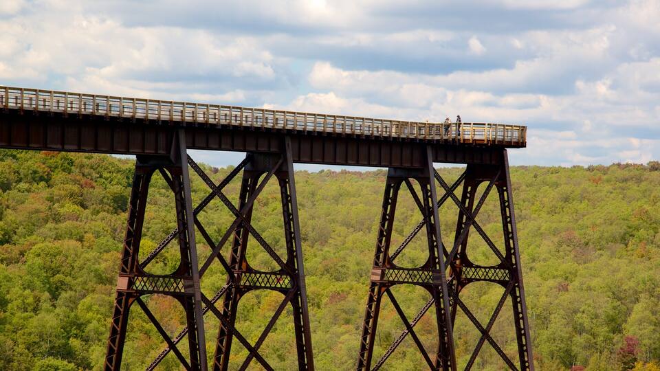 A steel bridge with a metal walkway spanning a forested valley.