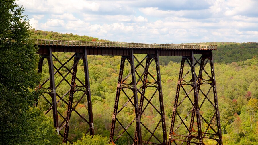 Kinzua Bridge State Park which includes views and tranquil scenes