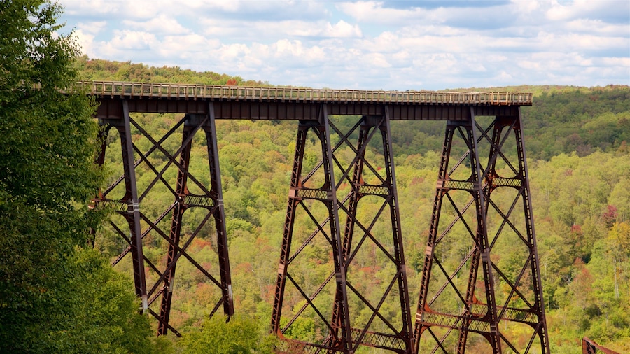 Kinzua Bridge State Park which includes forest scenes, tranquil scenes and views