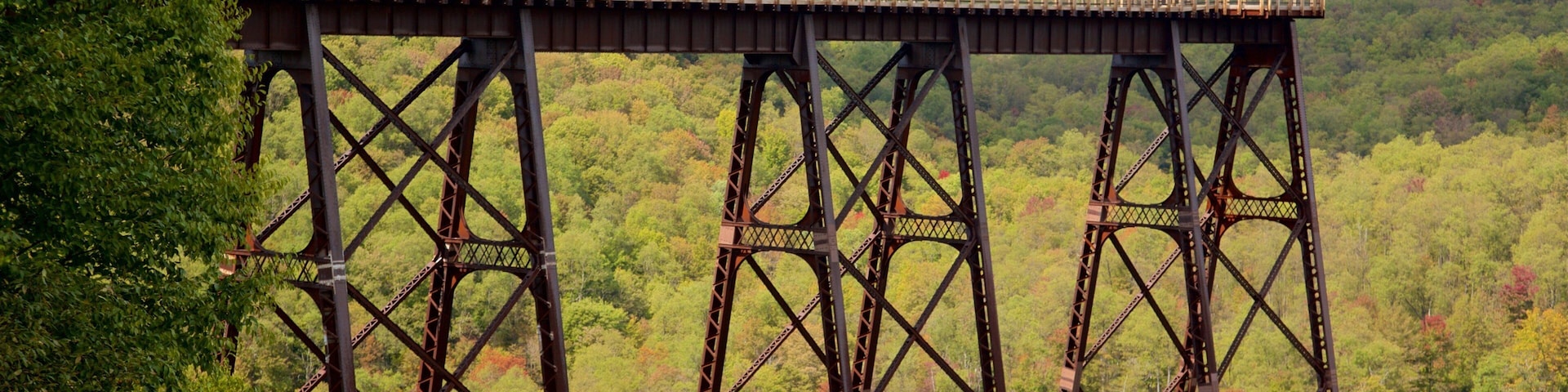 Kinzua Bridge State Park que inclui paisagens, cenas de floresta e cenas tranquilas