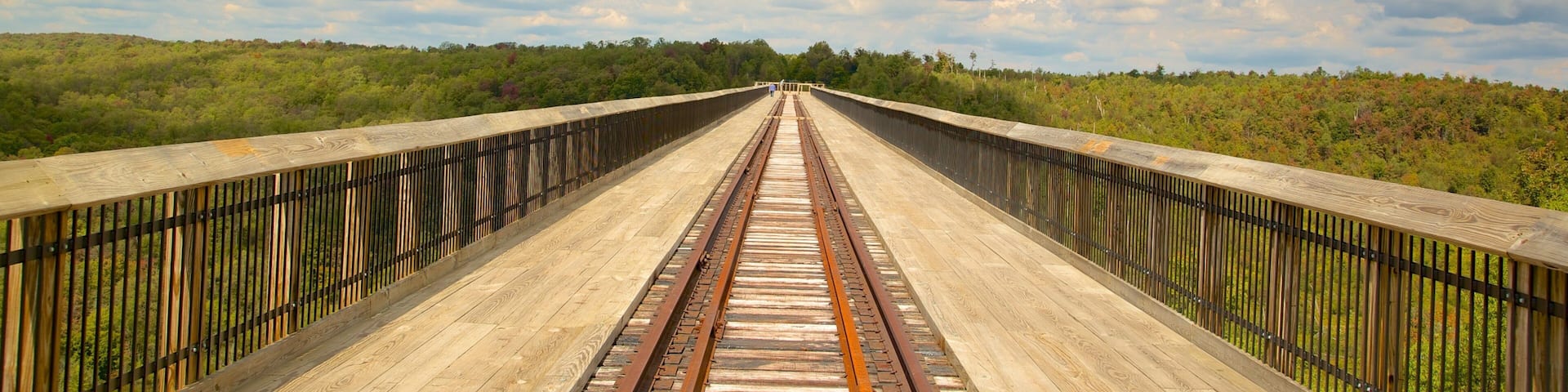 Northwest Pennsylvania featuring skyline, a bridge and forests