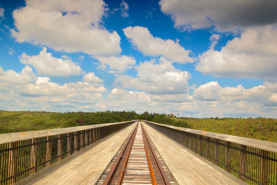 A wooden bridge with metal railings, leading to a forested landscape under a partly cloudy sky.