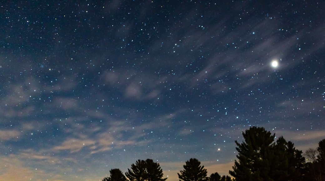 If you want to enjoy the night sky get to Cherry springs state park. Your eyes will thank you. That bright spot in the photo is jupiter. Its glorious
#roadtrip #stargazing #pennsylvania #travel #camping #Parks #wanderlust
#nature
#adventure