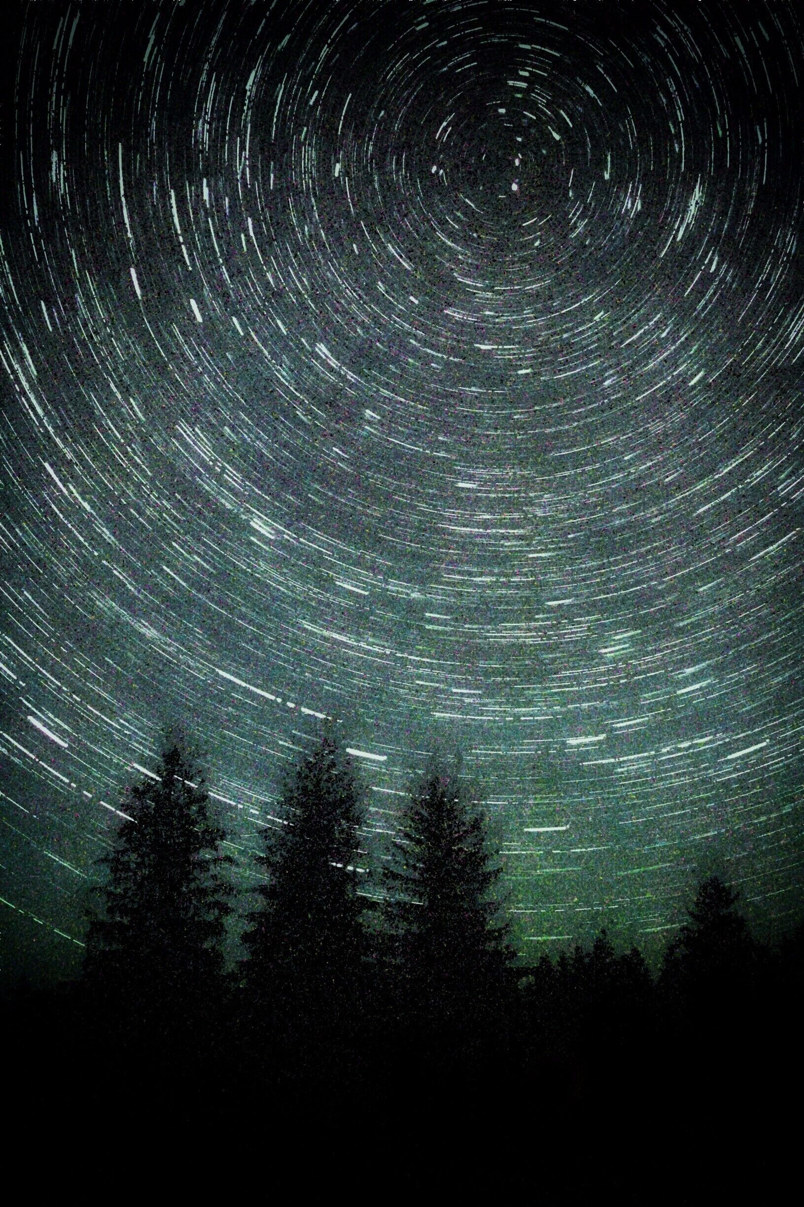 A star trail pattern in the night sky over a forest.